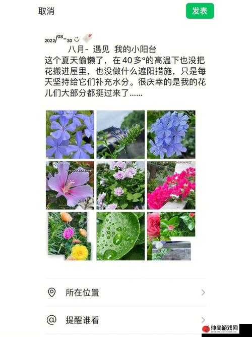 老公亲我的小花园最火：停更友背后的故事与情感纠葛