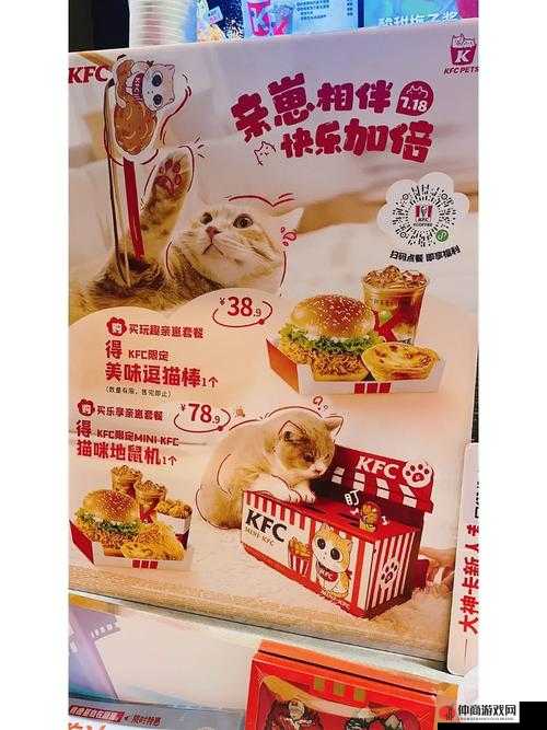 肯德基推出逗猫棒套餐，享受美食同时与萌宠共度欢乐双重盛宴