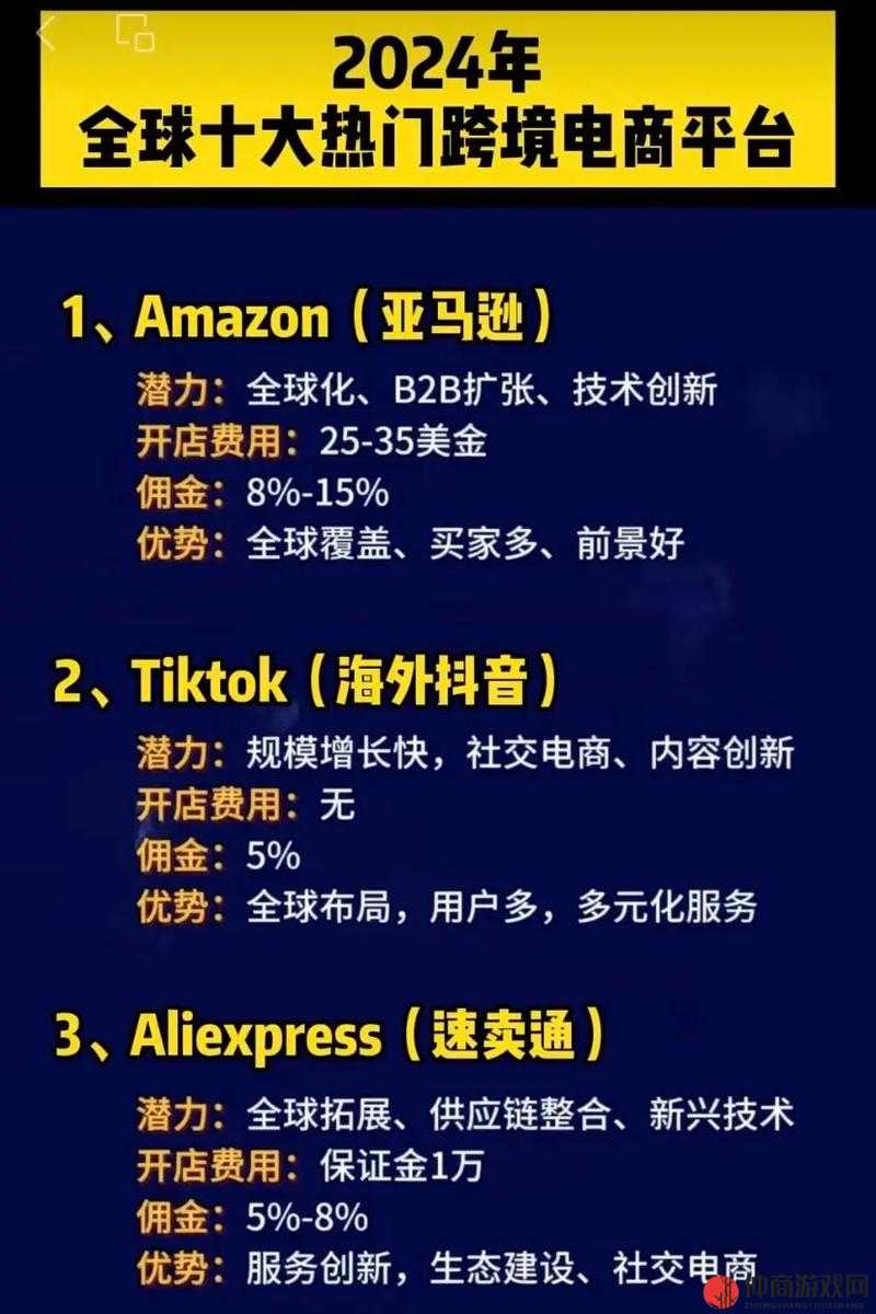 2024 年 Amazon 欧洲站：跨境电商的新机遇与挑战