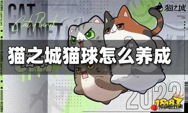 猫之城游戏详解，猫球的定义、功能及作用全面介绍