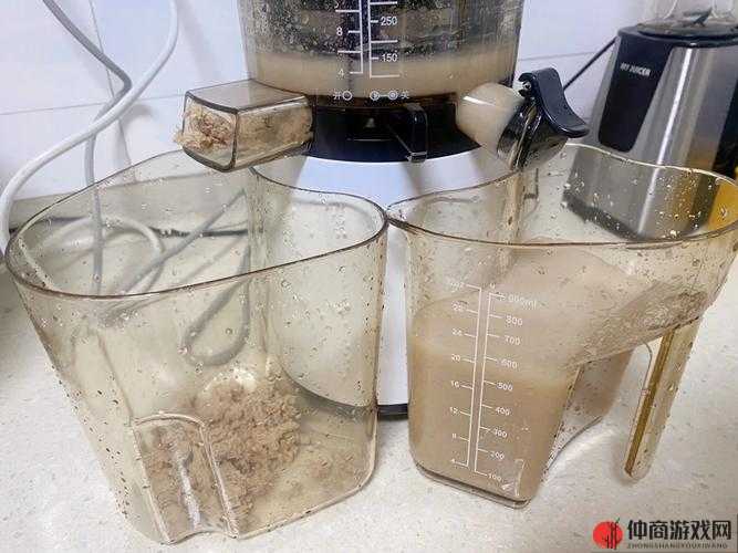 水果派哺乳汁理轮片之详细介绍与深度剖析