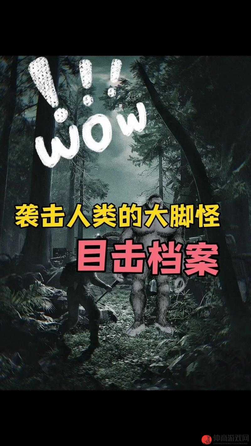 无人区乱码难题：挑战人类智慧的未解之谜