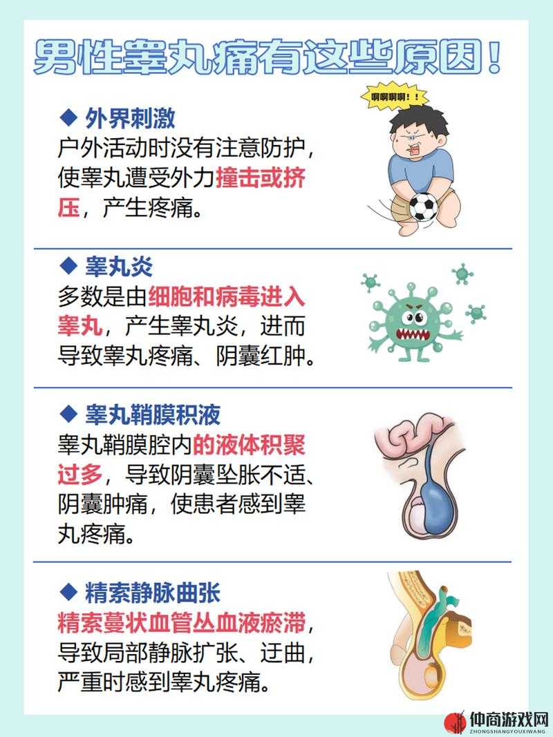 男生一边蛋蛋疼是怎么回事：可能存在的健康隐患分析