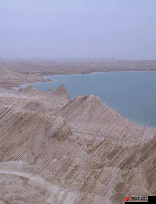 免费无人区一码二码乱码：探索神秘之地的冒险之旅