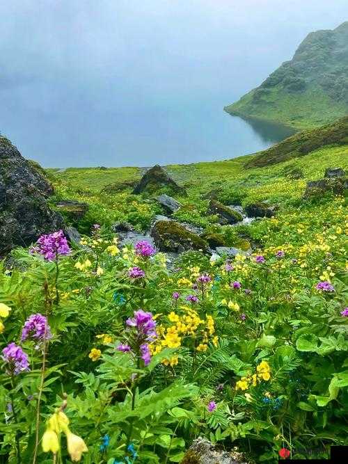 母亲的桃花源流淌：回归自然的心灵之旅