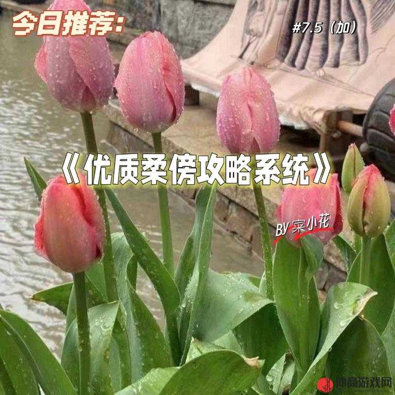 优质RB攻略系统沈芙：开启奇妙冒险之旅的关键所在