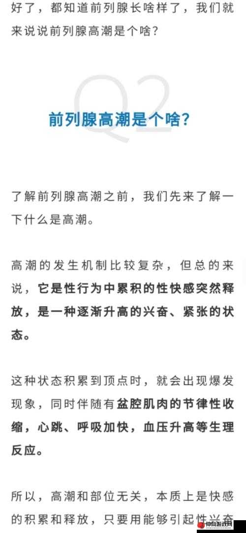 人人爽人人爽：让大家都能体验到爽快感的神奇之处