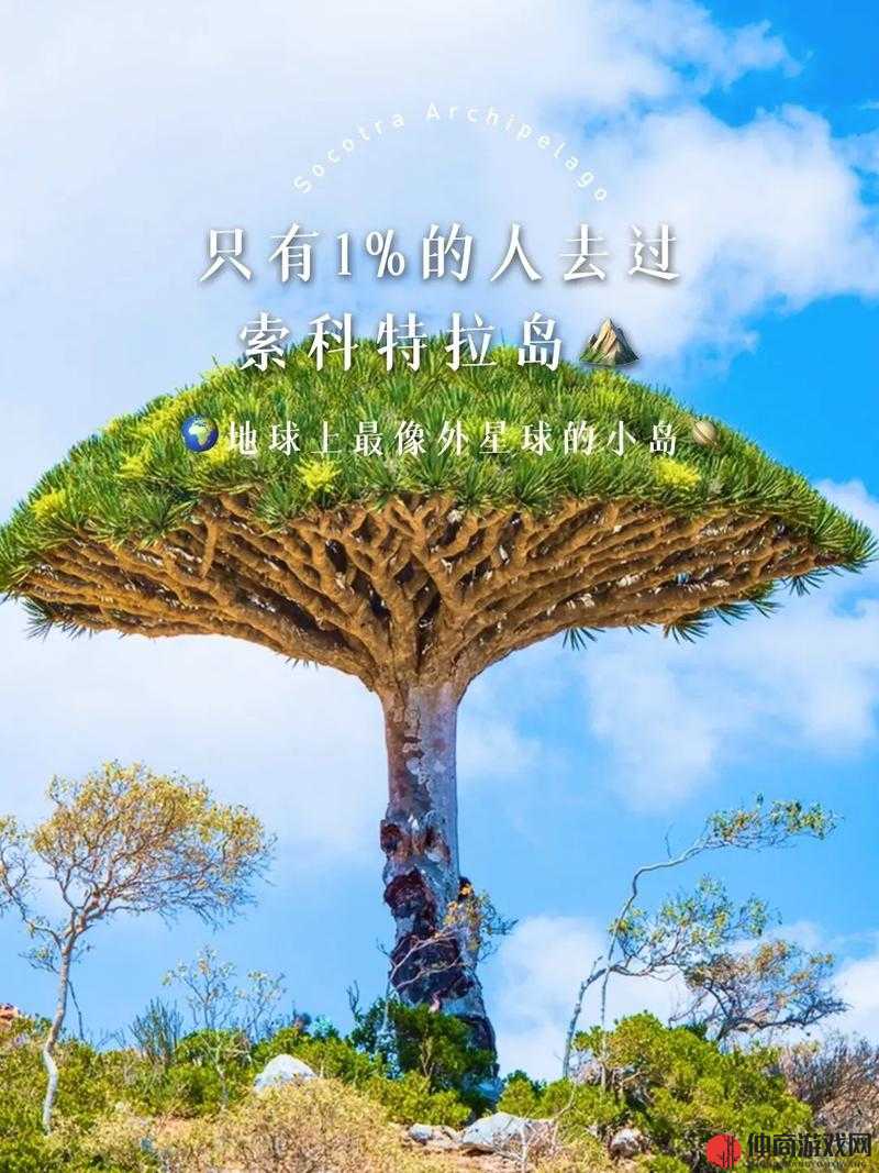 伊甸园：一个充满神秘和奇幻色彩的美丽世界