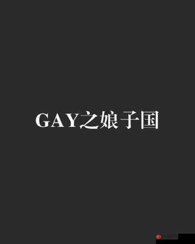 国站 China 中国 Gay 国站：独特且引人关注的存在