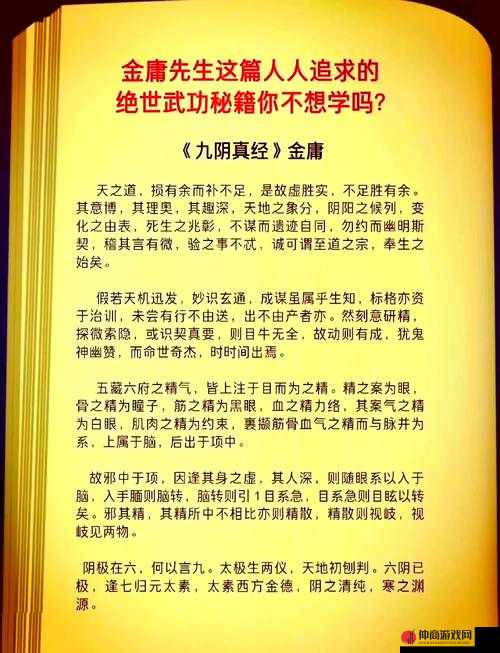 九阴真经四内秘技全揭秘：深度剖析与详细解读