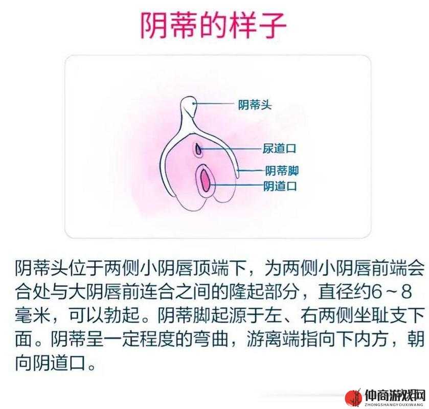 女性私密部位特征：大荫蒂与多毛茸茸的独特展现