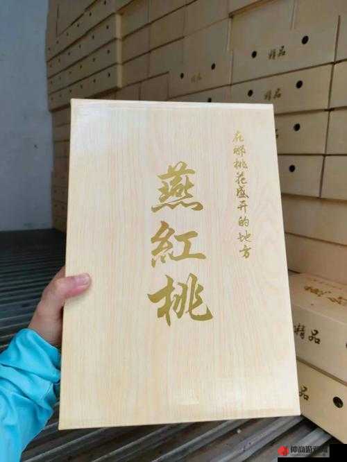 红桃精品国产精品：一部值得品味的经典之作