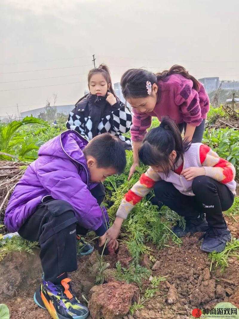 拔萝卜：一场痛并快乐着的体验