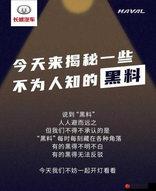 黑料正能量爆料：那些不为人知的背后故事与积极影响