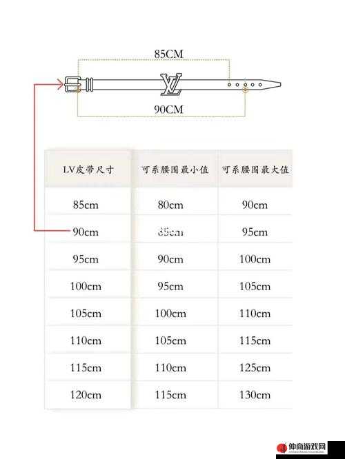 解读欧洲 LV 尺码大：深入探究其背后原因及对消费者的影响