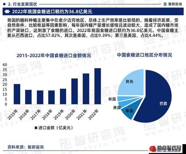 2024GgyCalcium：关于它的详细介绍与深度分析