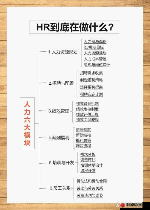 随时随地都能干的学校 HR：关于其职责与重要性的探讨