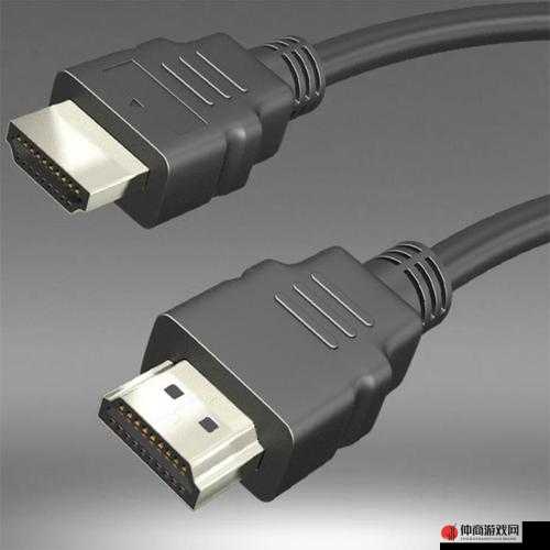 欧洲高清线 hdmi，带给你身临其境的视觉体验