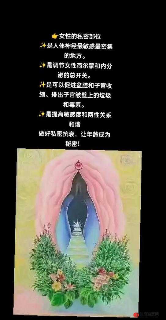 私密部位照片：探索隐私与艺术的边界