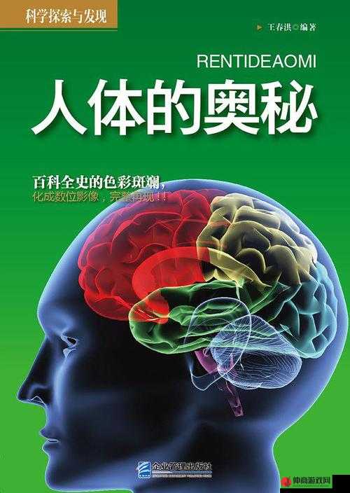 探索 1377 人体艺术的奥秘