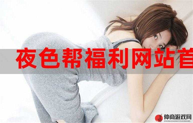 成人福利 app 导航破解版：畅享无限精彩