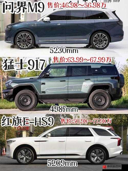 国产欧美大尺寸 SUV 欧美：征服道路的强大力量