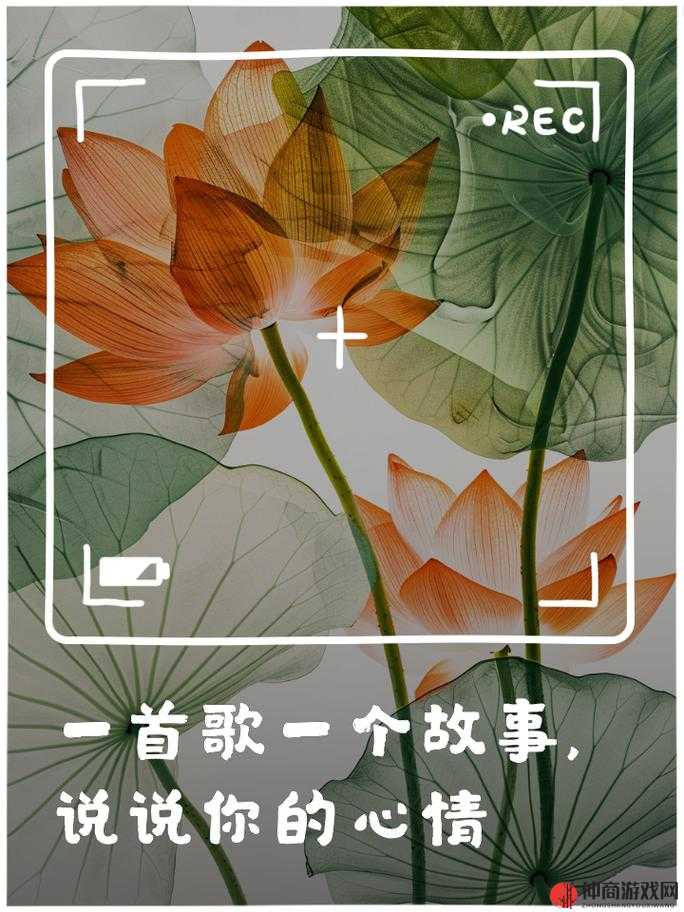 啊一啊一啊一啊是什么歌：悠扬旋律中的情感倾诉