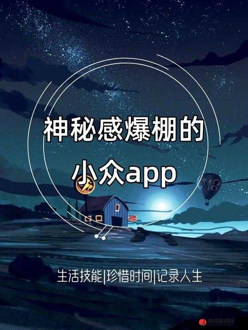 夜里十大禁用 APP 软件安卓：探寻其神秘禁用缘由