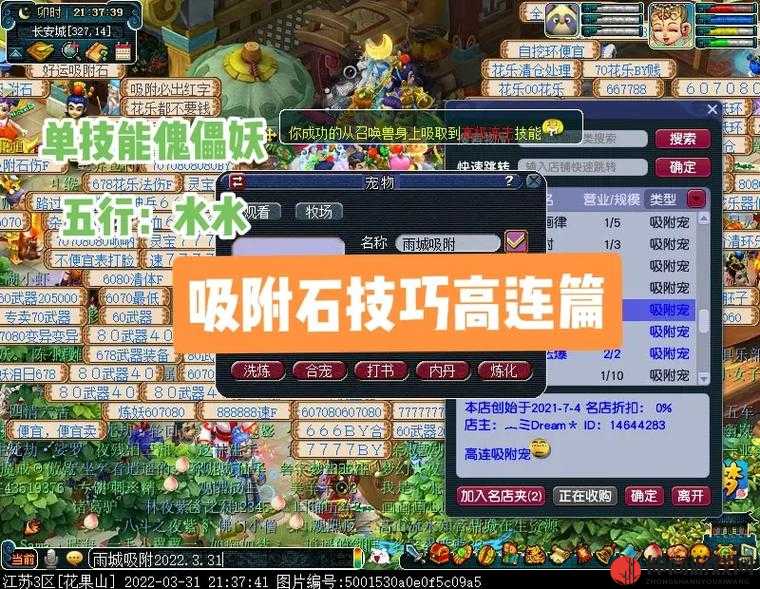 梦幻西游2吸附石使用小技巧深度解析，资深玩家吸附心得分享