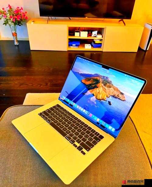 18 19MACBOOK PRO ：引领笔记本电脑的卓越之选